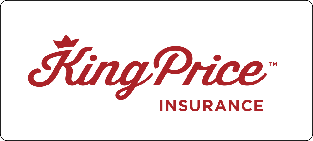 Insurance Partner 4